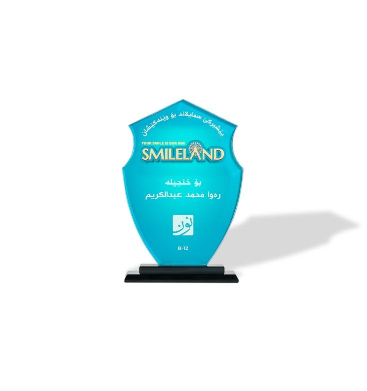 Crystal Plaque Award B-12